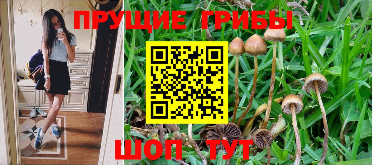 Псилоцибиновые грибы Psilocybine cubensis  Галлюциногенные грибы Cubensis  купить наркотик  Вход с VPN  Орск 